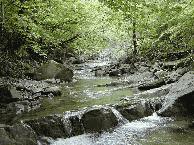  Image name: Fiume51.gif 
 width: 630 pixel 
 height: 472 pixel 
 Size: 144199 bytes 
 Click to enlarge 